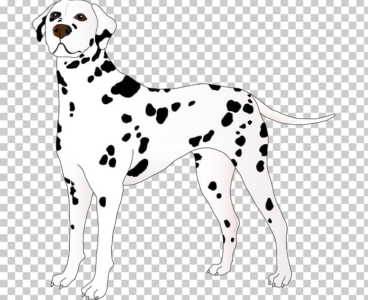 Dalmatian Dog Puppy Dog Breed Companion Dog PNG, Clipart, Animal Figure, Animals, Bulldog, Carnivoran, Companion Dog Free PNG Download
