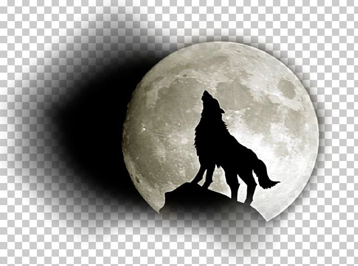 Siberian Husky Full Moon Black Wolf Wolfdog PNG, Clipart, Animal, Arctic Wolf, Aullido, Black And White, Black Wolf Free PNG Download