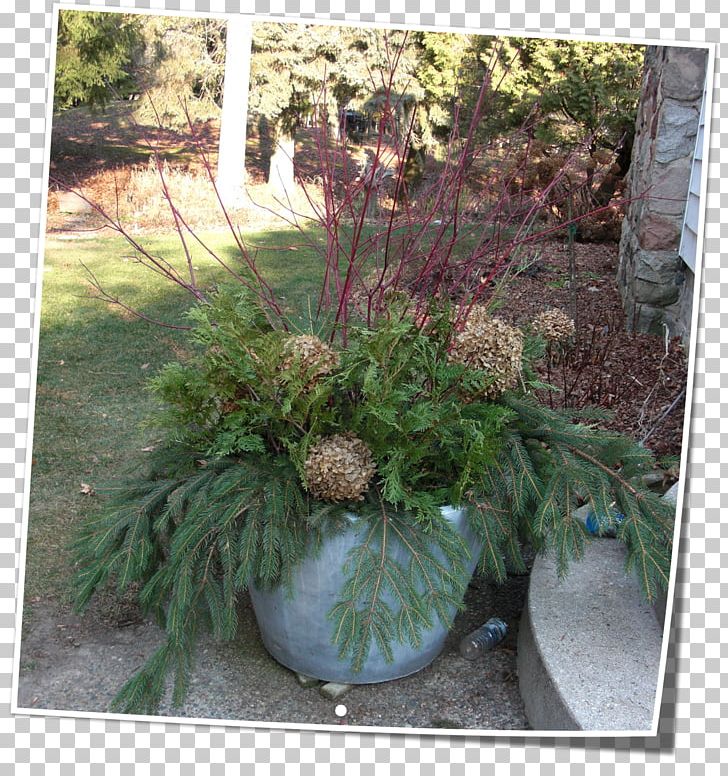 Tree Flowerpot Landscape Houseplant PNG, Clipart, Dry Twigs, Evergreen, Flora, Flower, Flowerpot Free PNG Download