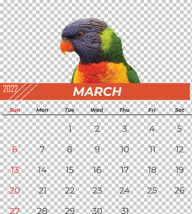 Parrots Beak Calendar Font Meter PNG, Clipart, Beak, Calendar, Meter, Parrots Free PNG Download