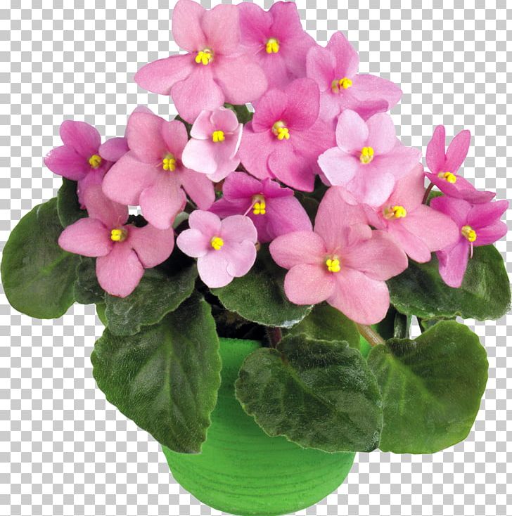 Flower Violet Floral Design PNG, Clipart, Floral Design, Flower, Flower Bouquet, Flowering Plant, Flowerpot Free PNG Download