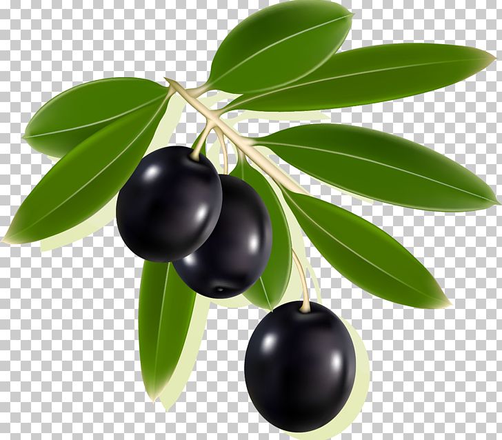 Olive Label PNG, Clipart, Aristotelia Chilensis, Berry, Bilberry, Chokeberry, Clip Art Free PNG Download