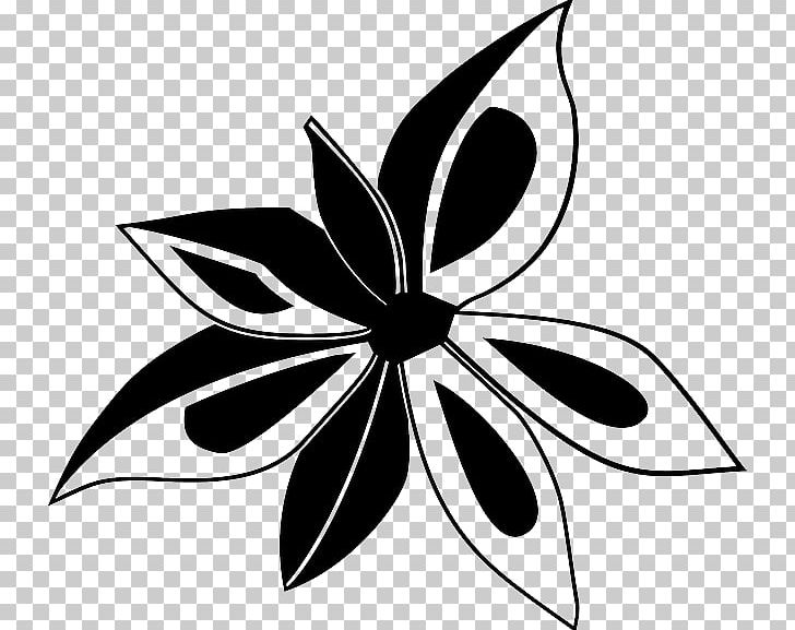 Star Anise PNG, Clipart, Allspice, Anise, Artwork, Black And White, Capsicum Annuum Var Acuminatum Free PNG Download