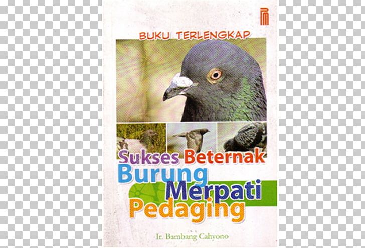 Book Novel Bird Indonesian Food PNG, Clipart, Advertising, Beak, Bird, Bird Food, Bird Supply Free PNG Download