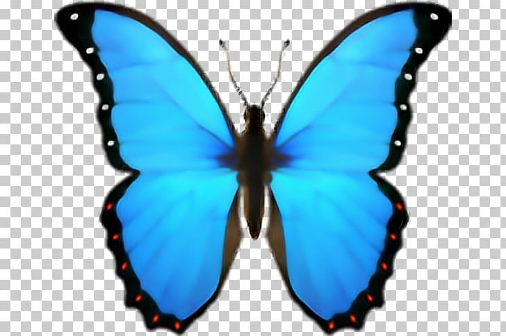 Butterfly Emoji Domain IPhone IOS PNG, Clipart, Apple, Arthropod, Brush Footed Butterfly, Butterfly, Emoji Free PNG Download