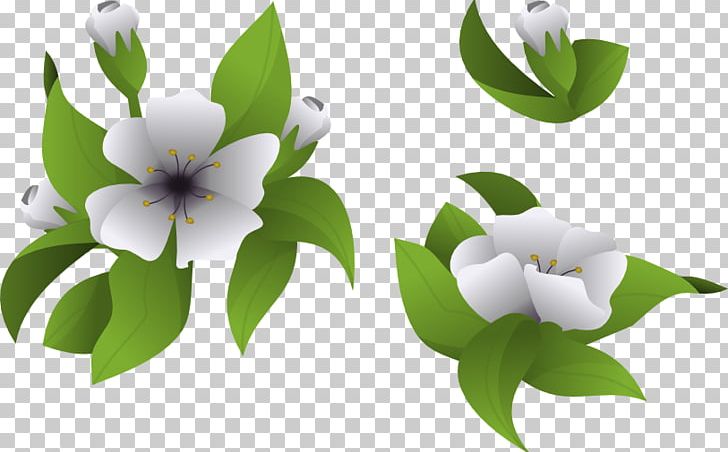 Flowering Plant Desktop PNG, Clipart, Desktop Wallpaper, Fedora, Flower, Flowering Plant, Google Hangouts Free PNG Download