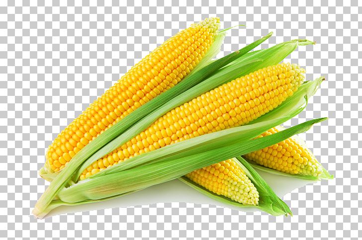 Maize Corn Flakes Corn Starch Cornmeal Food PNG, Clipart, Baby Corn, Cereal, Cooking, Corn, Food Grain Free PNG Download