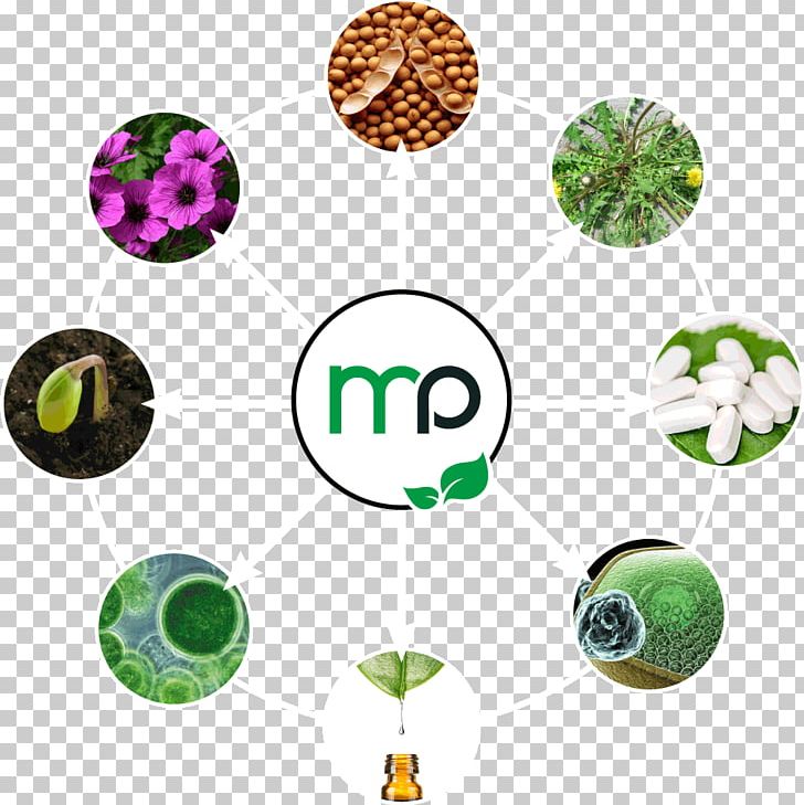 Micropep Technologies Application Domain TWB Toulouse White Biotechnology Bioproduction PNG, Clipart, Application Domain, Bioproduction, Biostimulant, Biotechnology, Body Jewellery Free PNG Download