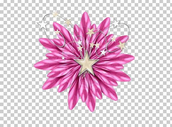 Blue Violet Star Magenta Lilac PNG, Clipart, Blue, Chrysanths, Color, Cut Flowers, Desktop Wallpaper Free PNG Download