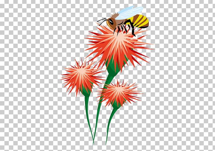 Honey Bee Insect Bumblebee PNG, Clipart, Bee Vector, Bumblebee, Closeup, Computer Wallpaper, Flora Free PNG Download