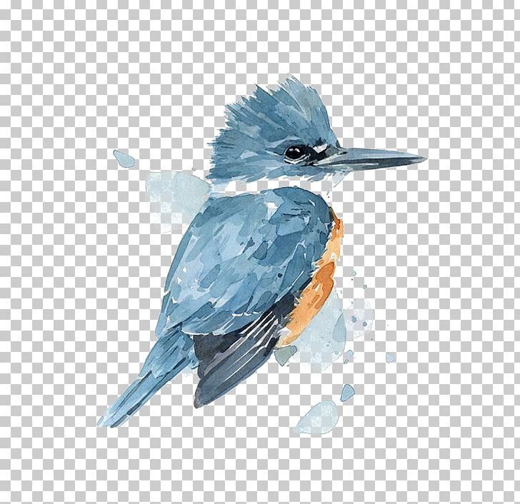 Watercolor Painting Belted Kingfisher Drawing PNG, Clipart, Animals, Art, Artist, Beak, Bird Free PNG Download
