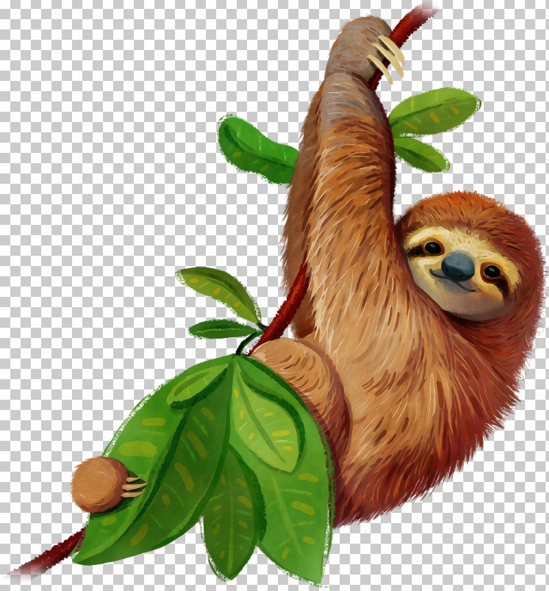 Three-toed Sloth Sloth Two-toed Sloth Leaf Tree PNG, Clipart, Leaf, Paint, Plant, Sloth, Threetoed Sloth Free PNG Download