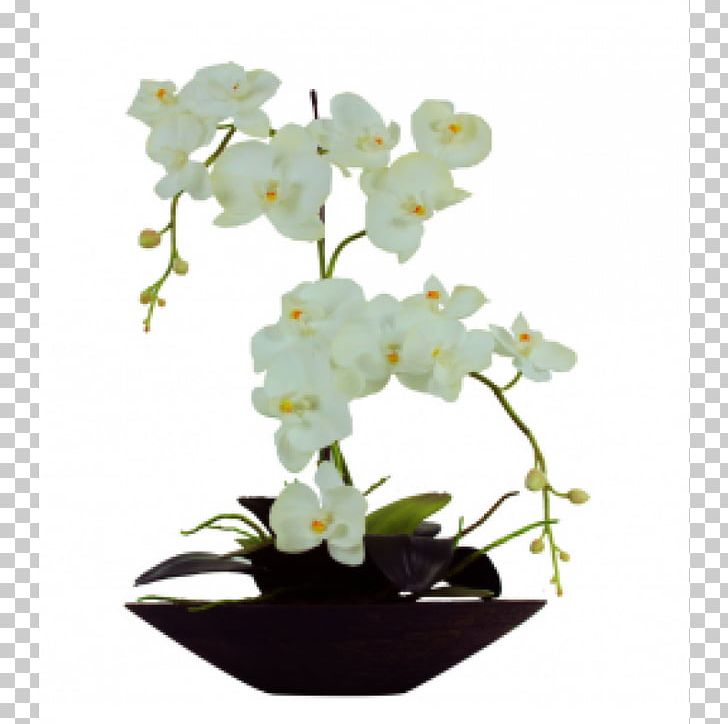 Moth Orchids White Vase Glass PNG, Clipart, Artificial Flower, Arum Lilies, Branch, Color, Floral Design Free PNG Download