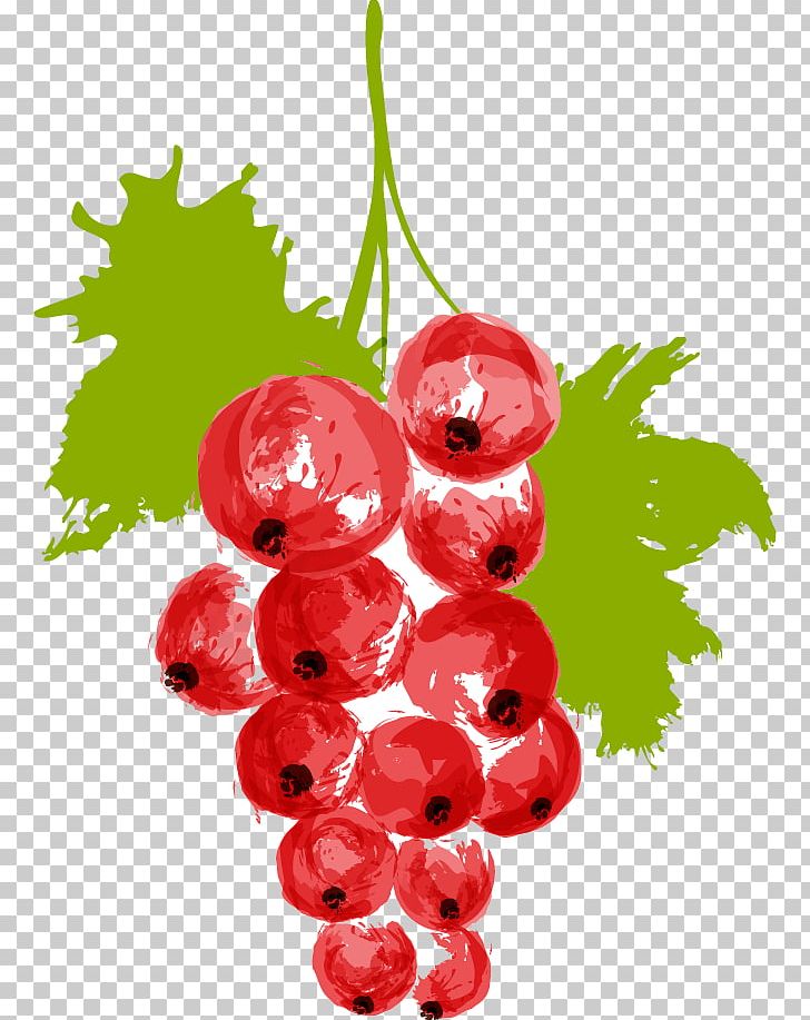 Watercolor Painting Auglis Illustration PNG, Clipart, Cartoon, Cherry, Currant, Drawing Vector, Food Free PNG Download