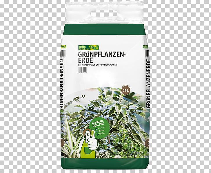 Horticulture Rülcker GmbH Gartencenter Bachmann GmbH Sauter Green Experience GmbH & Co. KG Bazle GmbH Beier GmbH & Co. KG PNG, Clipart, Garden, Garden Centre, Grass, Horticulture, Lies Free PNG Download