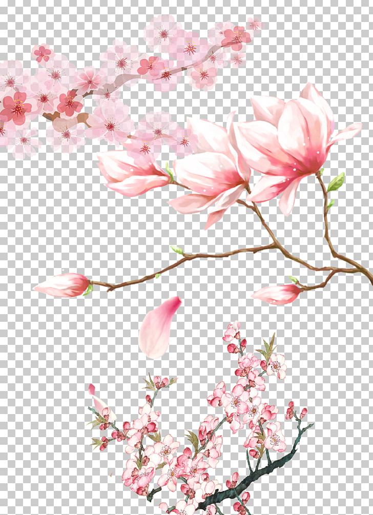 Cherry Blossom Peach Blossom Red PNG, Clipart, Branch, Cherry Blossom, Download, Encapsulated Postscript, Festival Free PNG Download