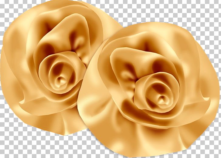 PhotoScape Praline Blog Close-up PNG, Clipart, Blog, Closeup, Ear, Flower, Photoscape Free PNG Download