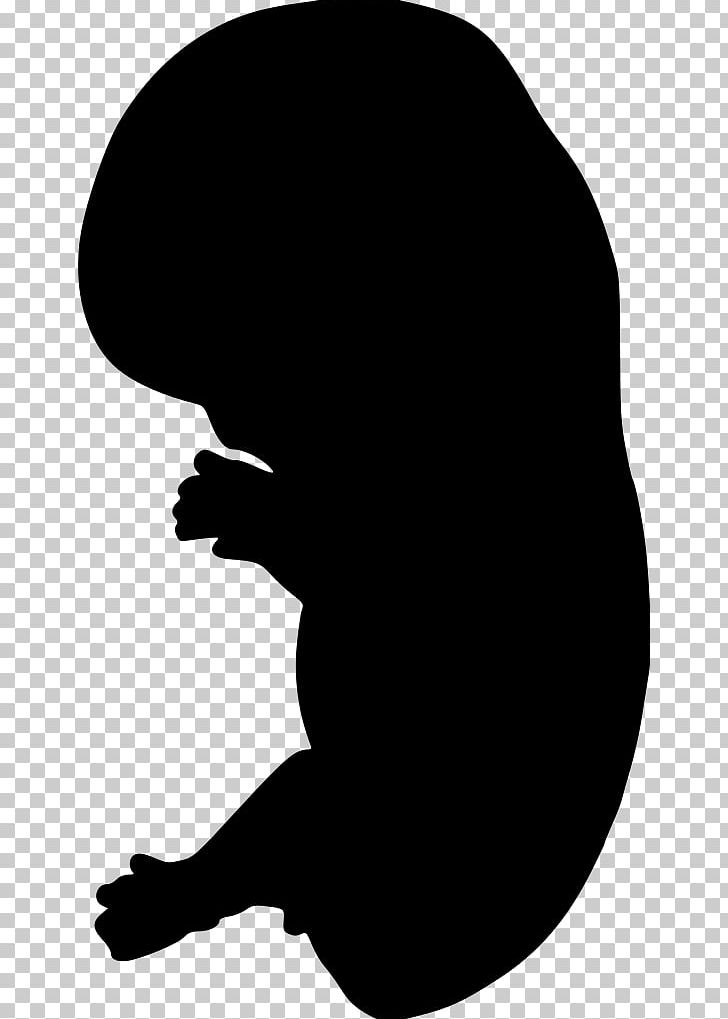 Embryo Silhouette PNG, Clipart, Animals, Black, Black And White, Desktop Wallpaper, Embryo Free PNG Download