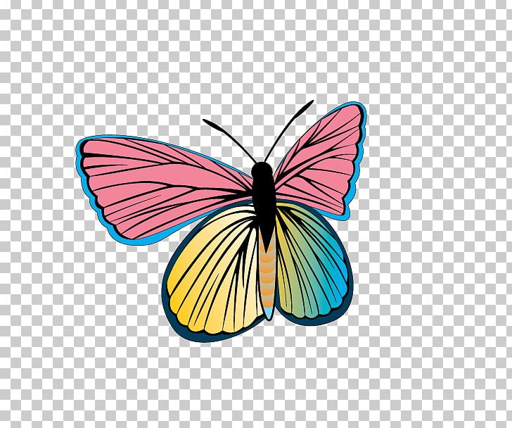 Butterfly PNG, Clipart, Adobe Illustrator, Brush Footed Butterfly, Cdr, Color, Color Pencil Free PNG Download