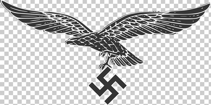German Air Force Germany Military Eagle PNG, Clipart, Air Force, Beak, Bird, Bird Of Prey, Black And White Free PNG Download