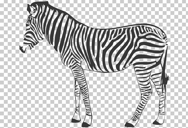 Quagga Mountain Zebra Horse Photography PNG, Clipart, Animal, Animal Figure, Animal Figurine, Animals, Big Cats Free PNG Download