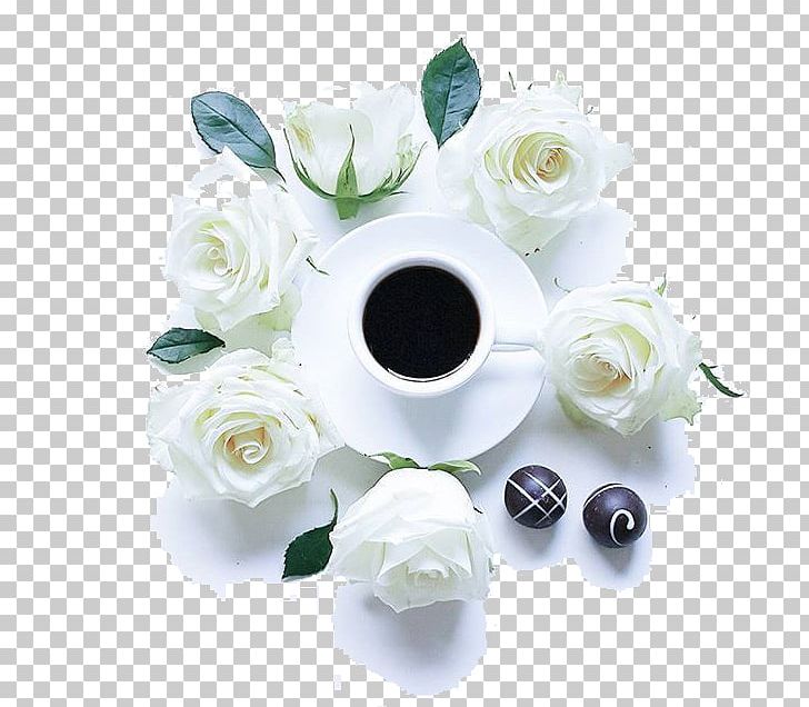 Ipoh White Coffee Cafe Beach Rose Ipoh White Coffee PNG, Clipart, Artificial Flower, Coffee, Coffee Cup, Coffee Shop, Cup Free PNG Download