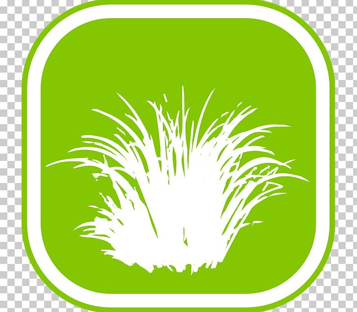 Grasses Illustration Commodity Leaf PNG, Clipart, Almaty, Area, Black And White, Circle, Commodity Free PNG Download