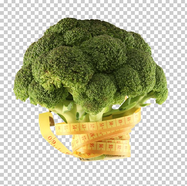 Romanesco Broccoli Cauliflower Cabbage Vegetable PNG, Clipart, Broccoflower, Broccoli, Broccoli 0 0 3, Broccoli Art, Broccoli Dog Free PNG Download