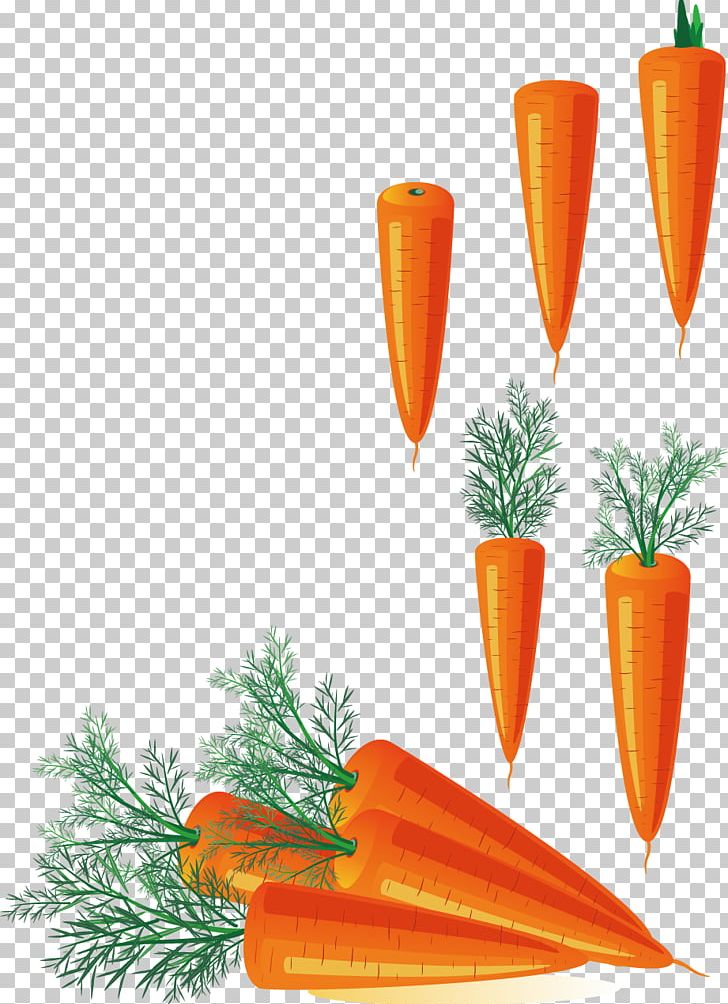 Carrot Stock Photography PNG, Clipart, Carrots Vector, Creative Background, Creative Logo Design, Diagram Vector, Encapsulated Postscript Free PNG Download
