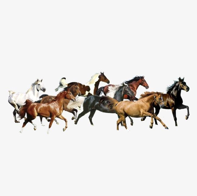 Horses PNG, Clipart, Animal, Animals In The Wild, Brown, Chinese, Chinese Style Free PNG Download