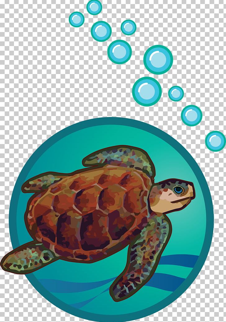 Loggerhead Sea Turtle Tortoise Pond Turtles PNG, Clipart, Animals, Biology, Drainage Basin, Emydidae, Fish Free PNG Download