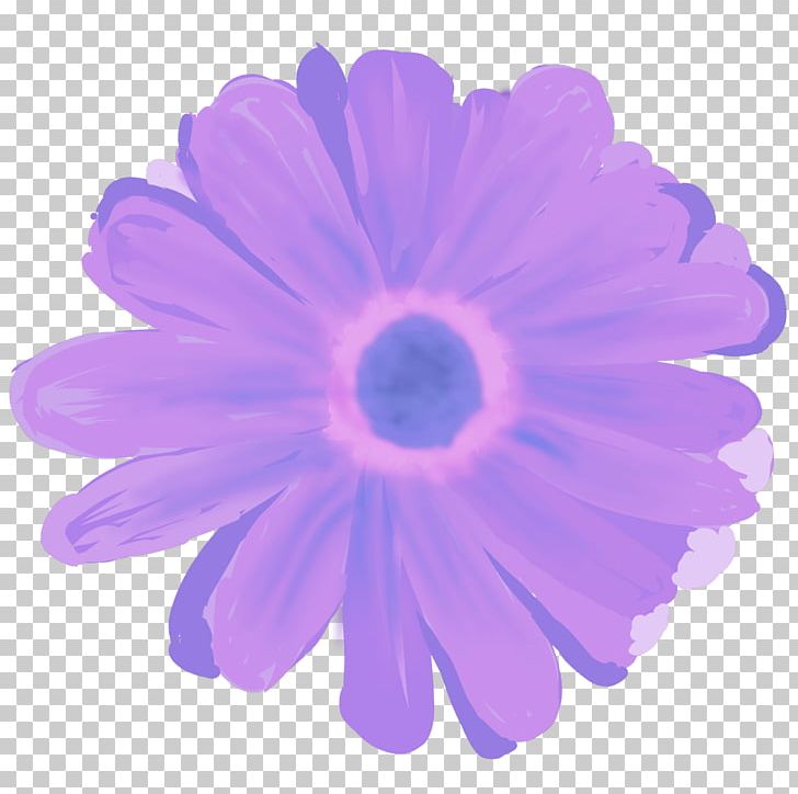 Transvaal Daisy PNG, Clipart, Daisy Family, Flower, Flowering Plant, Gerbera, Lilac Free PNG Download