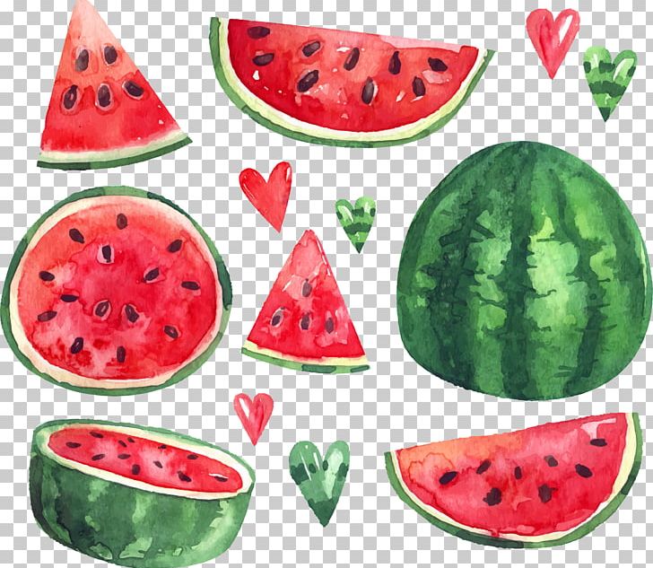 Watermelon Euclidean Citrullus Lanatus PNG, Clipart, Citrullus, Cucumber Gourd And Melon Family, Food, Fruit, Fruit Nut Free PNG Download
