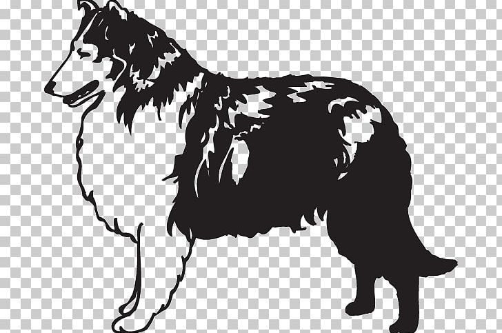 Rough Collie Border Collie Scotch Collie Puppy Wall Decal PNG, Clipart, Animal, Animal Breeding, Animals, Black And White, Border Collie Free PNG Download