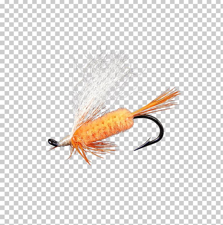 Artificial Fly Fly Fishing Shrimp PNG, Clipart, 28 October, American Shad, Artificial Fly, Fishing, Fishing Bait Free PNG Download