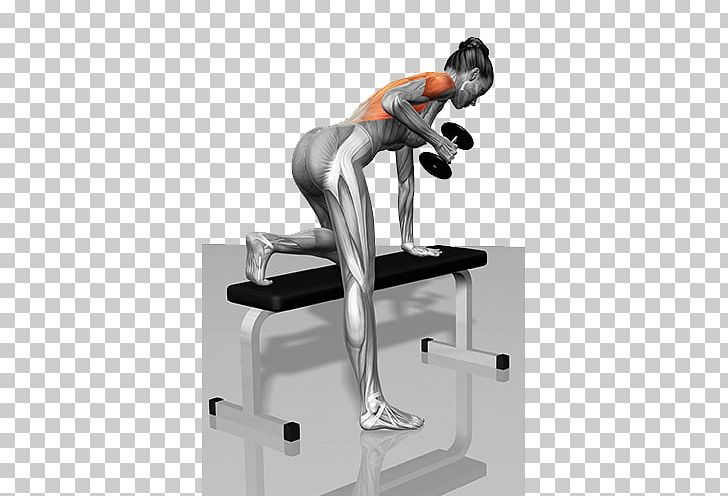 Dumbbell Muscle Bent-over Row Physical Exercise PNG, Clipart, Angle, Arm, Body, Bodybuilding, Body Structure Free PNG Download
