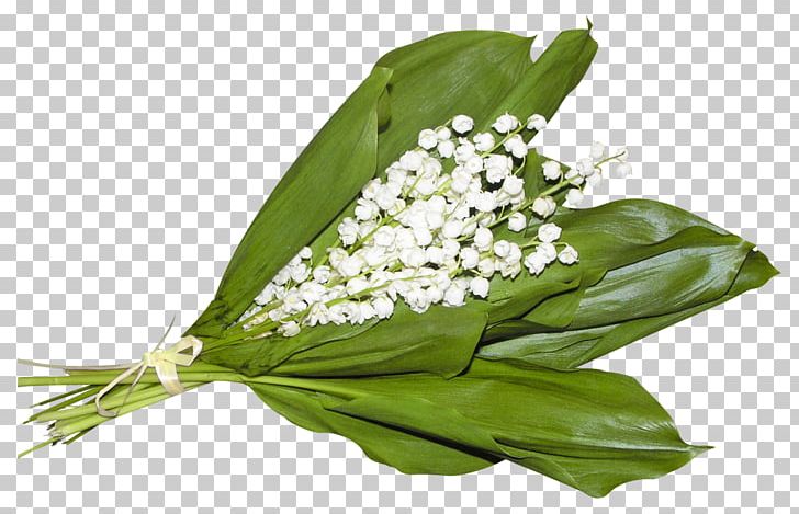 Lily Of The Valley 1 May Labour Day International Workers' Day Holiday PNG, Clipart, 1 May, 2017, Beyaz Cicek, Birthday, Cicek Free PNG Download