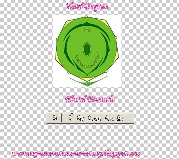 Logo Brand Font PNG, Clipart, Art, Brand, Circle, Green, Logo Free PNG Download