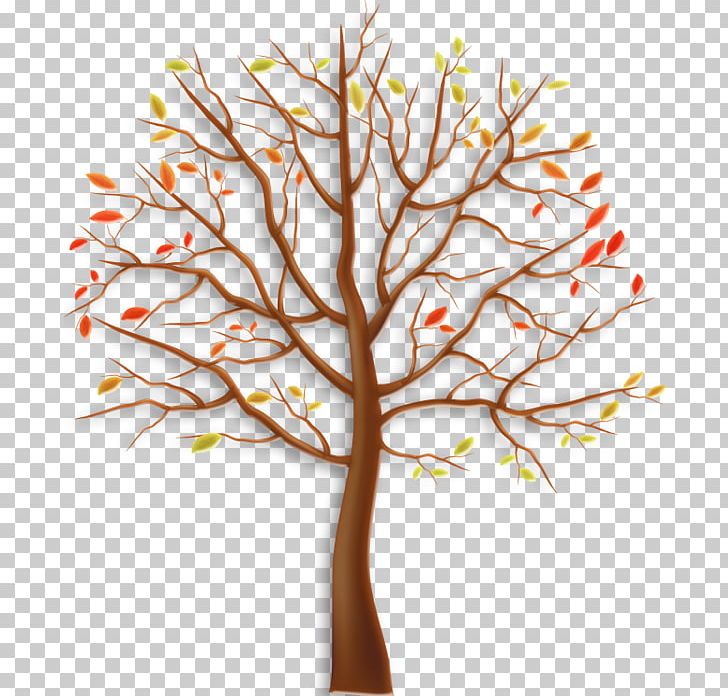 Tree Leaf Trunk Drawing Woody Plant PNG, Clipart, Art, Branch, Drawing, Flower, Leaf Free PNG Download