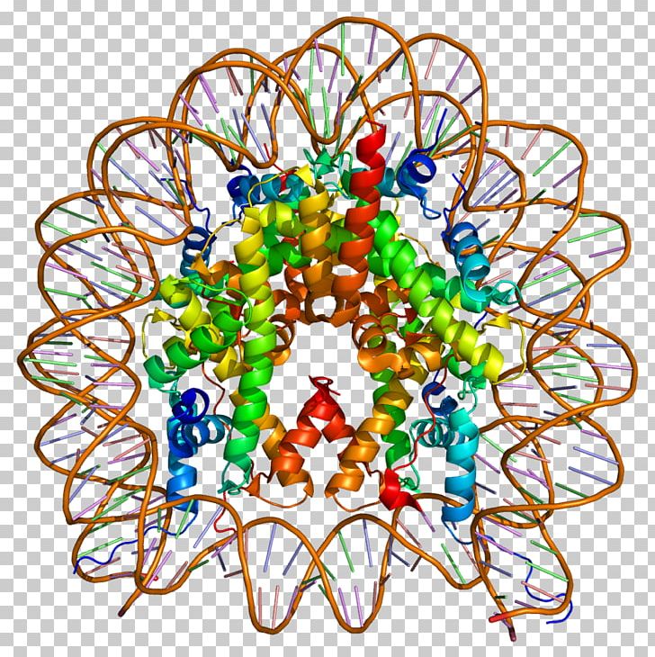 H2AFZ Histone H2A Nucleosome Histone Code PNG, Clipart, Art, Body Jewelry, Circle, Dna, Dna Methylation Free PNG Download