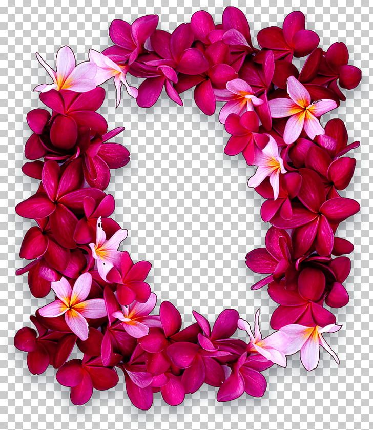 Maui Lei Day Hawaiian Puka Shell PNG, Clipart, Floral Design, Flower, Frangipani, Hawaii, Hawaiian Free PNG Download