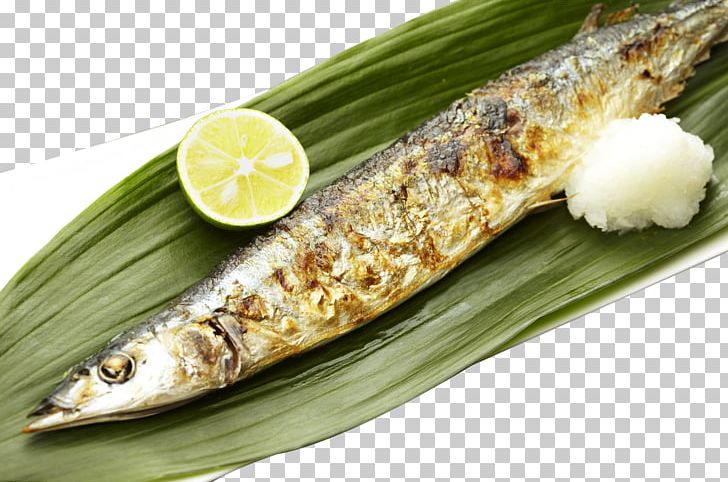 Pacific Saury Barbecue Grill Fish Grilling Cooking PNG, Clipart, Animals, Animal Source Foods, Banana Leaves, Barbecue, Carnivorous Free PNG Download