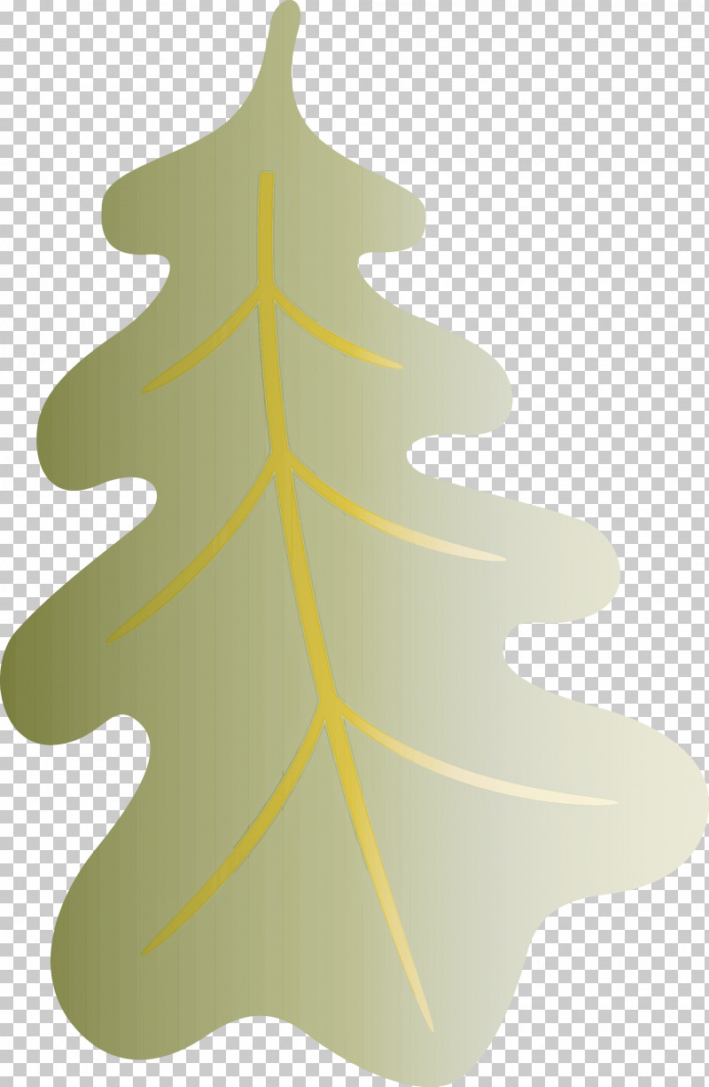 Oak Leaf PNG, Clipart, Biology, Christmas Day, Christmas Ornament, Christmas Tree, Conifers Free PNG Download
