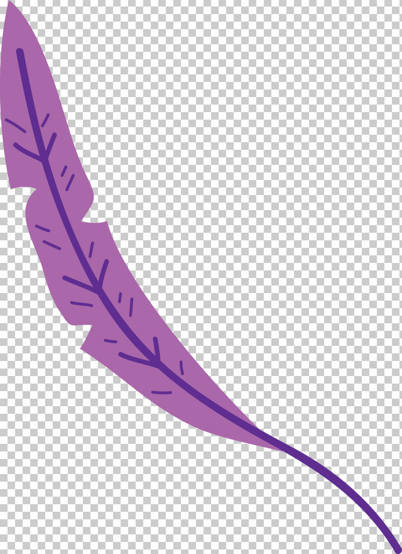 Feather PNG, Clipart, Angle, Feather, Leaf Abstract, Leaf Cartoon, Leaf Clipart Free PNG Download