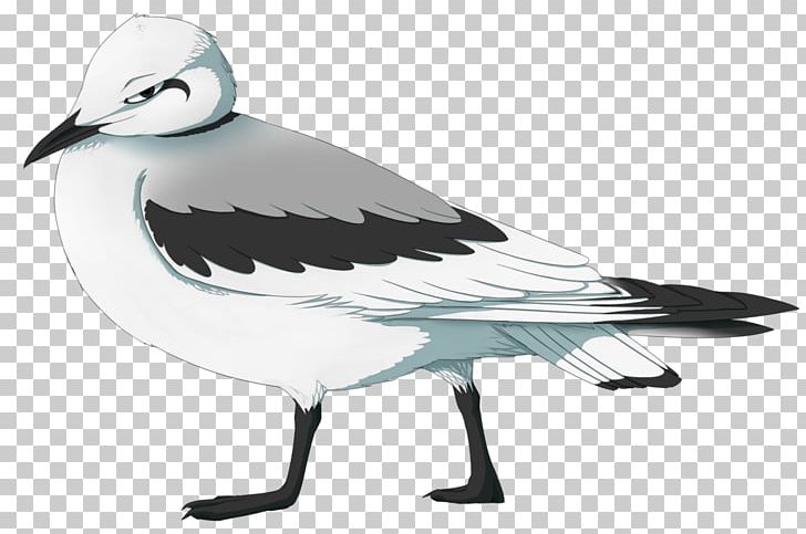 European Herring Gull Gulls Goose Bird Cygnini PNG, Clipart, American Herring Gull, Anatidae, Animals, Beak, Bird Free PNG Download