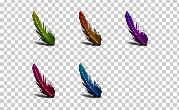 Feather Purple PNG, Clipart, Feather, Purple, Quill, Wing Free PNG Download