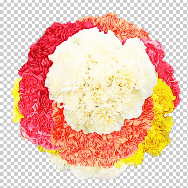 Floral Design PNG, Clipart, Carnation, Cut Flowers, Floral Design, Flower, Flower Bouquet Free PNG Download