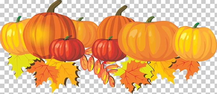 Autumn Free Content Harvest Festival PNG, Clipart, Autumn, Autumn Leaf Color, Calabaza, Cucumber Gourd And Melon Family, Cucurbita Free PNG Download