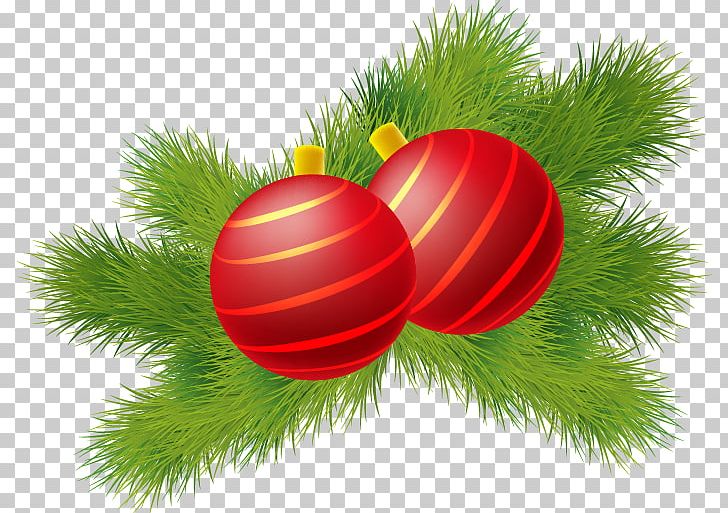 Christmas Ornament Red Green PNG, Clipart, Ball, Ball Vector, Blue, Branch, Christmas Free PNG Download