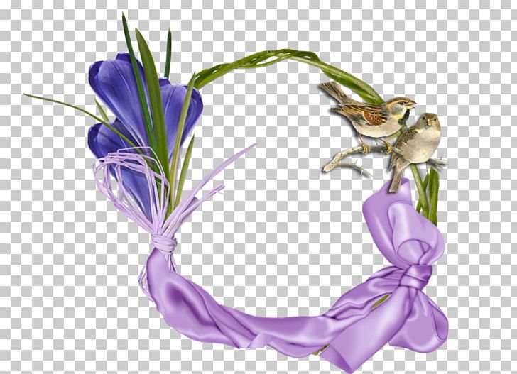 Cut Flowers God Purple Flowering Plant حياء PNG, Clipart, Cut Flowers, Flower, Flowering Plant, God, Plant Free PNG Download